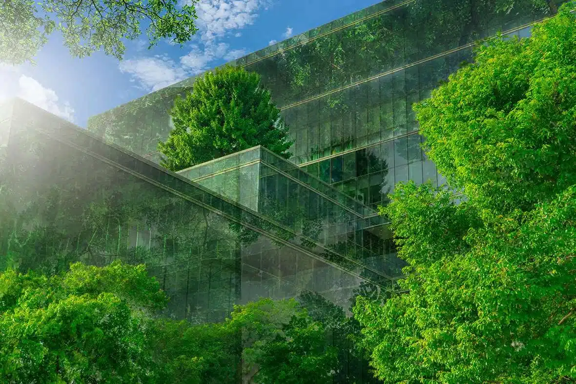 Office in a green, sustainable environment