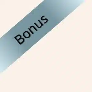 Dry Wipe Board Bonus